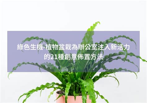 辦公室綠色植物|綠色生機